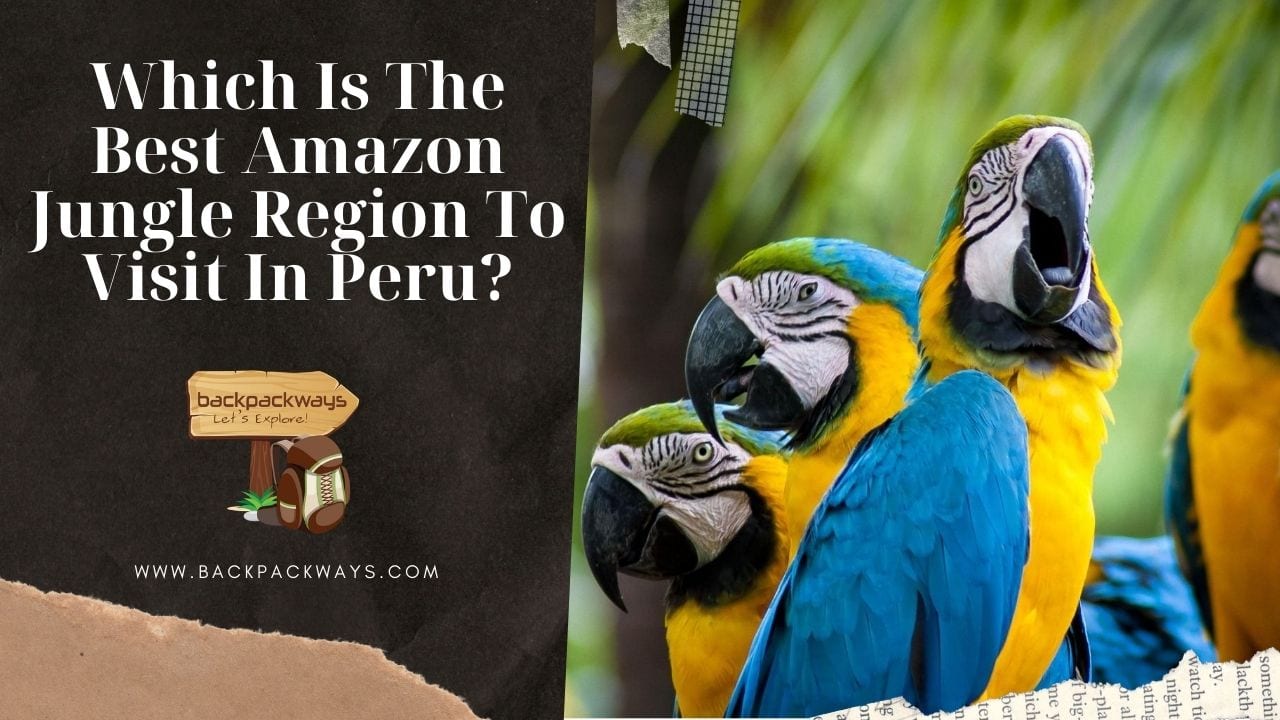 Which Is The Best Amazon Jungle Region To Visit In Peru?