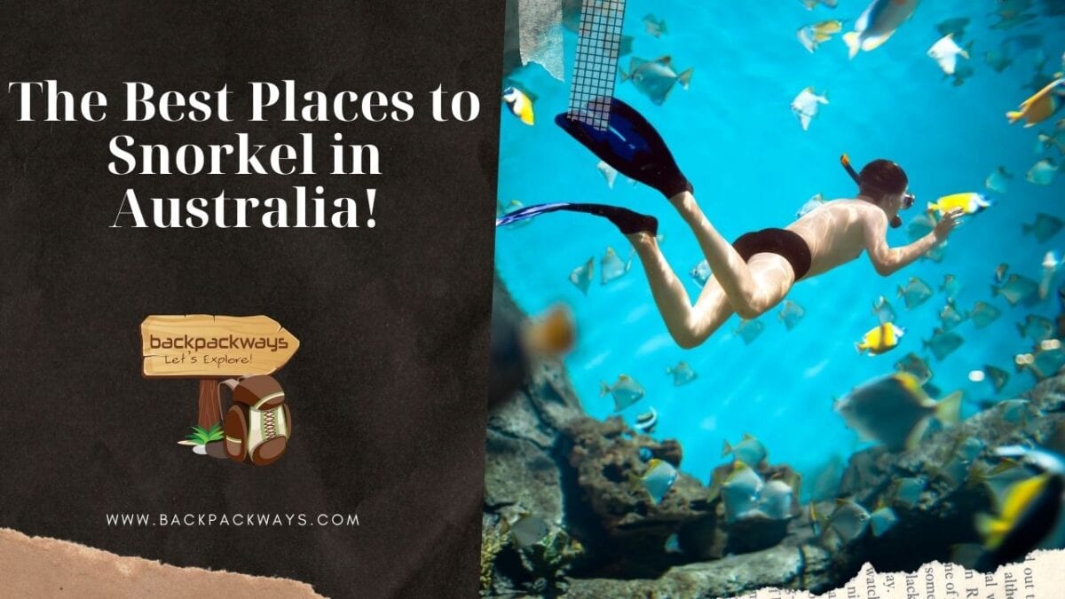 Snorkelling in Australia