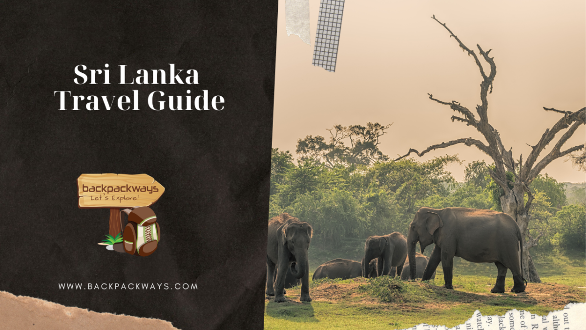 Sri Lanka Travel Guide 2022